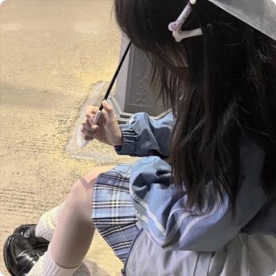 捷克的四季 海报