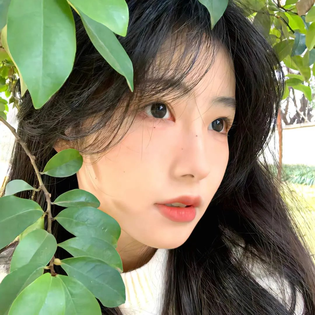 森林 海报